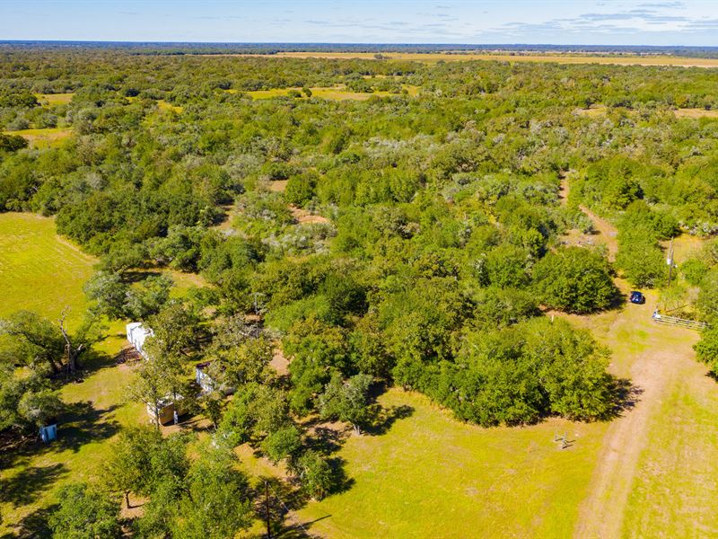 3.15 Acres Unrestricted & Off-Grid : Hallettsville : Lavaca County : Texas