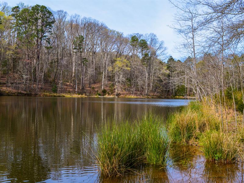 Land For Sale In Upstate South Carolina