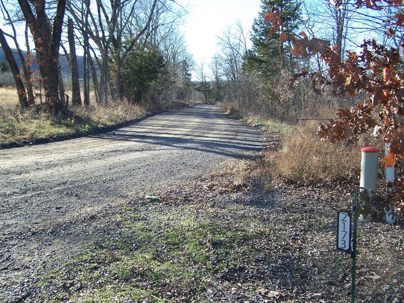 20.7 Ac Hunting / Recreational Land : Marshall : Searcy County : Arkansas