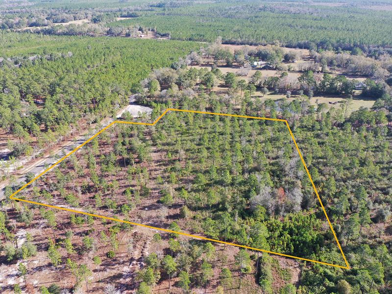 Lot 62 Deep Creek Land for Sale in Bryceville, Nassau County