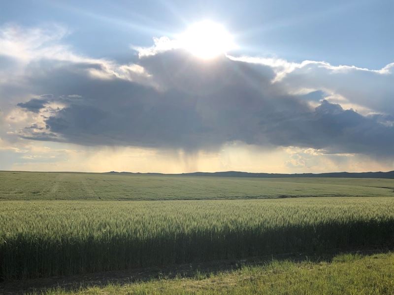 Castle Rock Farms : Newell : Butte County : South Dakota