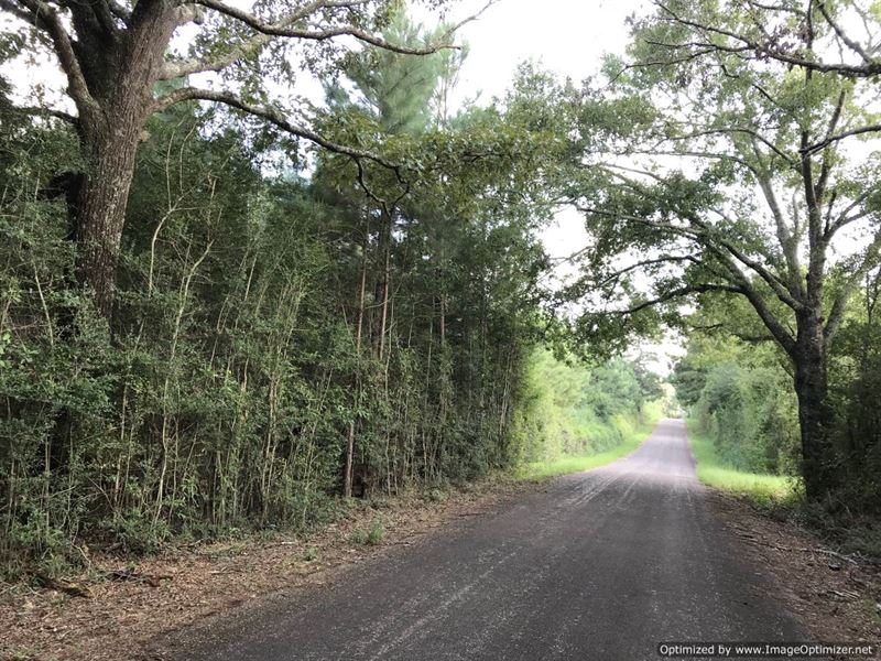 10 Ac Lot Ready for Your Dream Home : Magnolia : Pike County : Mississippi