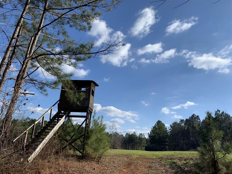 Oakes Bottom Tract : Marion : Perry County : Alabama