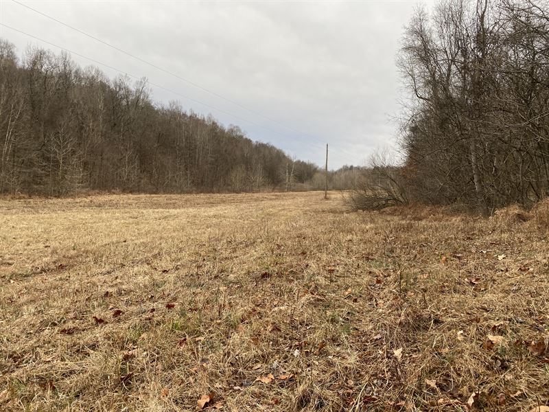 947 Acres of River Front : Marion : Crittenden County : Kentucky