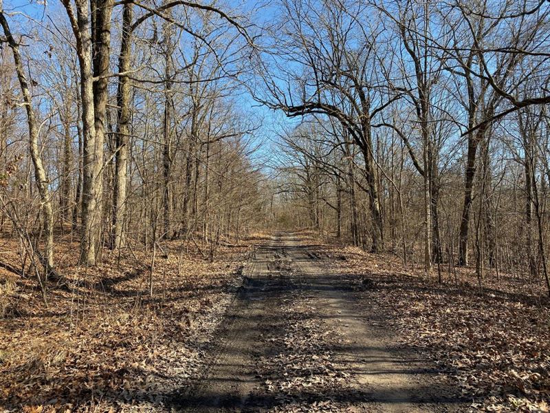 Caney Creek on Crowley's Ridge : West Helena : Phillips County : Arkansas