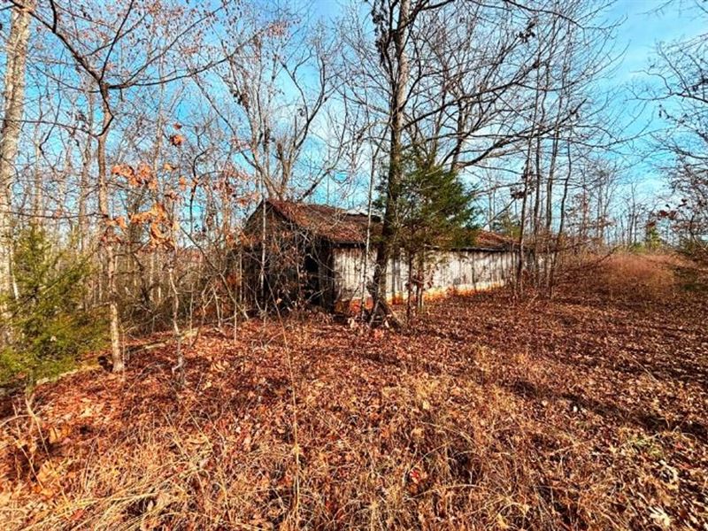 Excellent Hunting Tract on Coffee : Morris Chapel : Hardin County : Tennessee