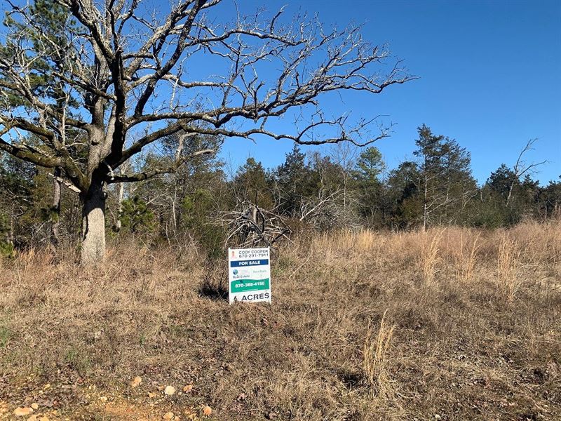 Hunting Land For Sale Land for Sale in Mount Olive, Izard County
