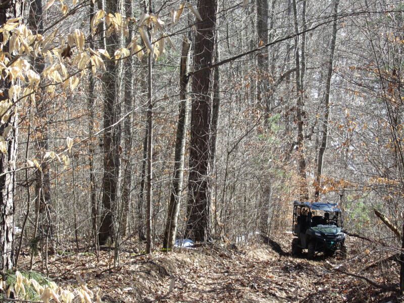Exceptional Hunting and Recreation : Sneedville : Hancock County : Tennessee