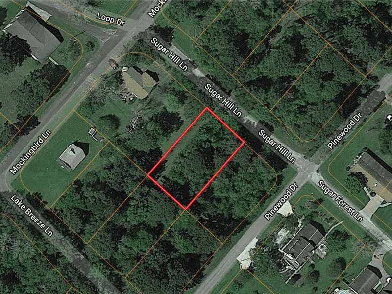 Forest Hills Lot Livingston TX Lake : Livingston : Polk County : Texas