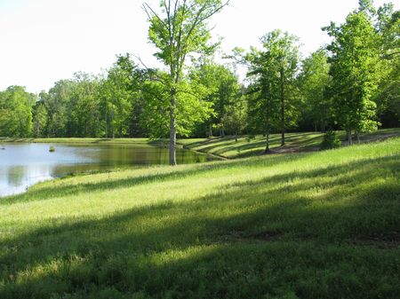 Buena Vista 51 : Beatrice : Monroe County : Alabama