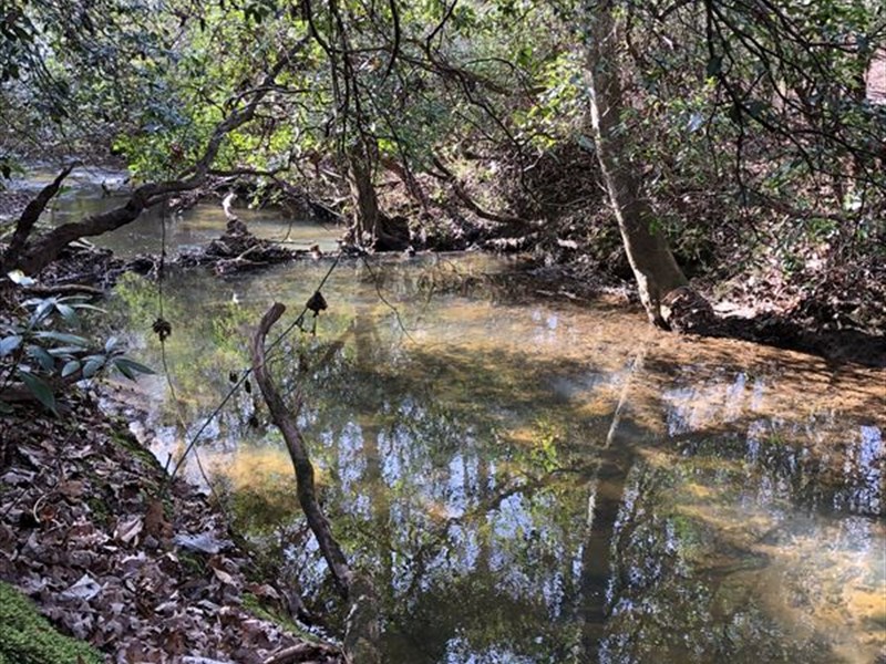 40+/ Acres on Wedowee Creek Land for Sale in Woodland, Randolph