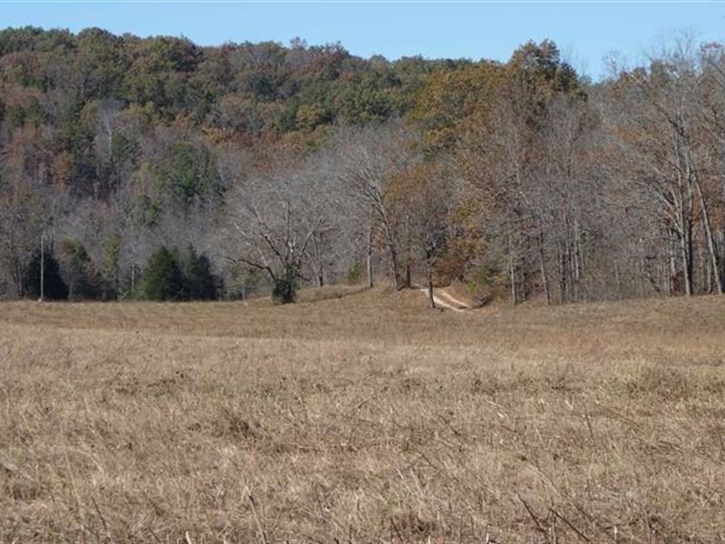Southern MO Land, 68 AcresTrophy Land for Sale in Ellington, Shannon