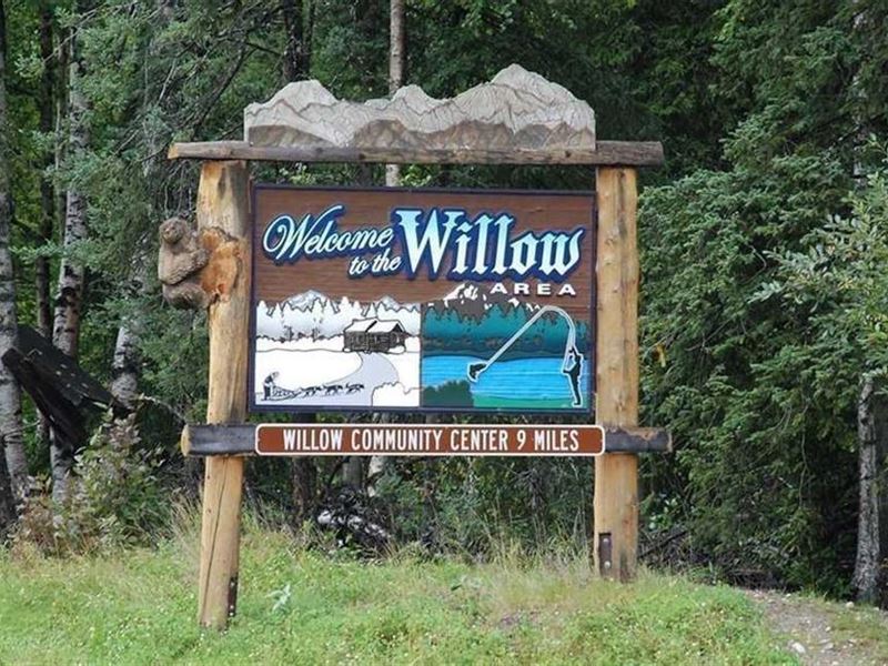 Great 40 Acre Parcel in Willow Alas : Willow : Matanuska-Susitna Borough : Alaska