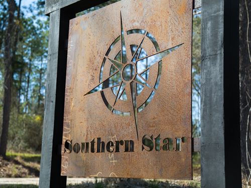 11.95 Ac Tract 5 Southern Star : Corrigan : Polk County : Texas