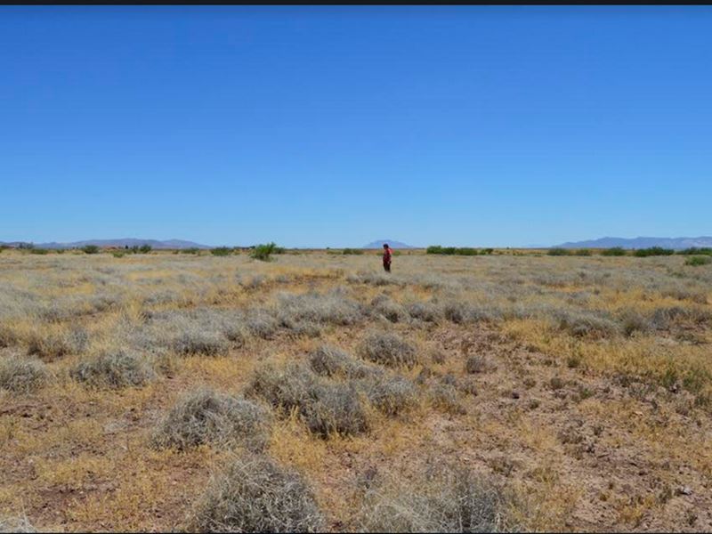 Building Lot Right Next to Home : Douglas : Cochise County : Arizona