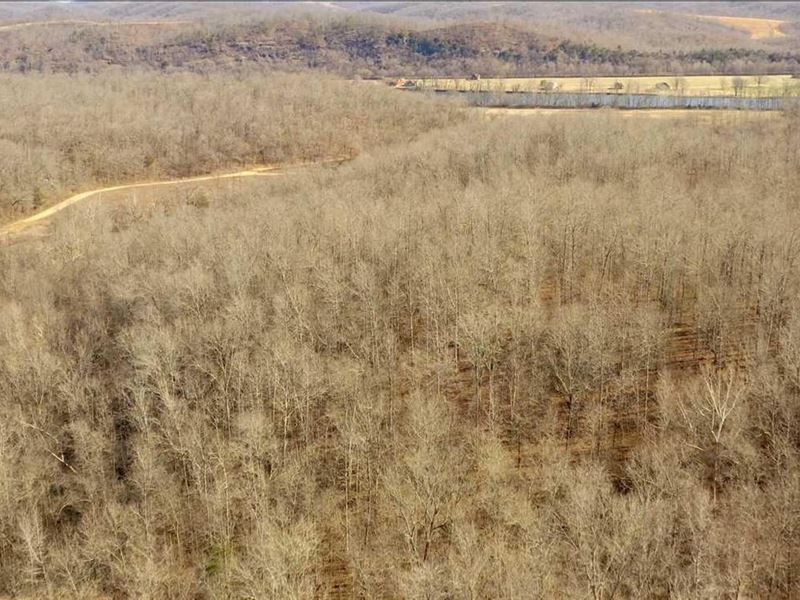 180 Acres, Near Younger Access : Pleasant Grove : Stone County : Arkansas