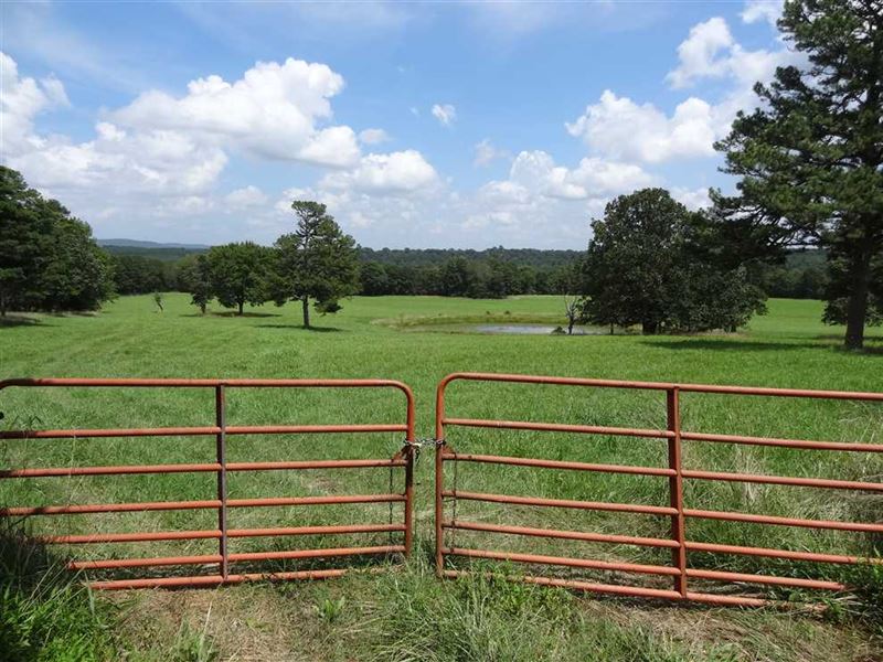 161 Acres Timber & Pasture : Clinton : Van Buren County : Arkansas