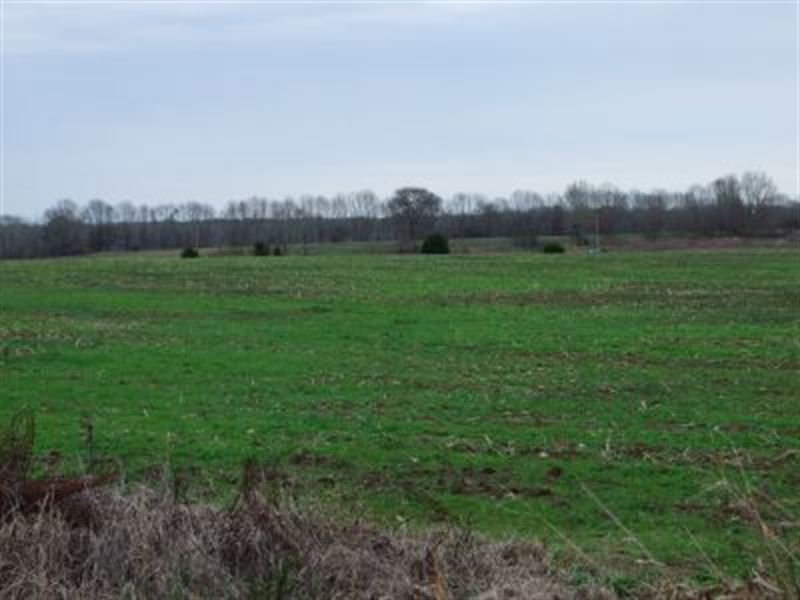 Wendell Farm, Perry County, 1155 ac : Marion : Perry County : Alabama