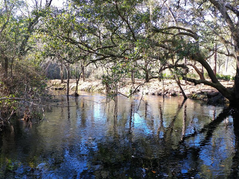 Farm on The River : Saint George : Charlton County : Georgia