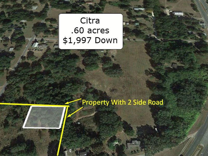 .60 Acre Partially Cleared Lot : Citra : Marion County : Florida
