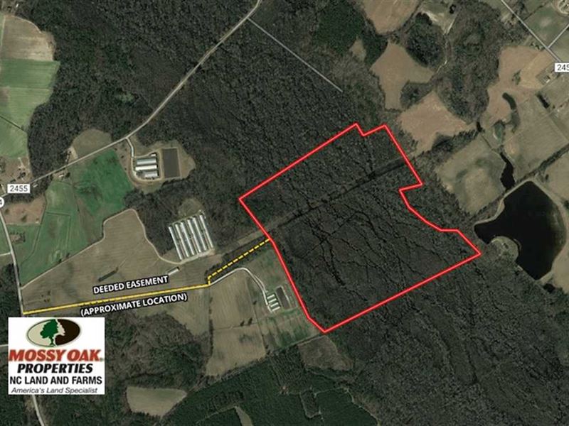 Under Contract, 125 Acres of Hun : Fairmont : Robeson County : North Carolina