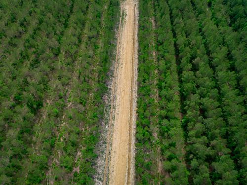 Simpson Creek 96-2 : Loris : Horry County : South Carolina