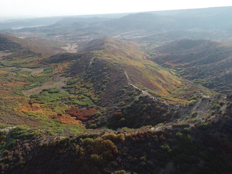 Warren Hunting Ranch : Cedaredge : Delta County : Colorado