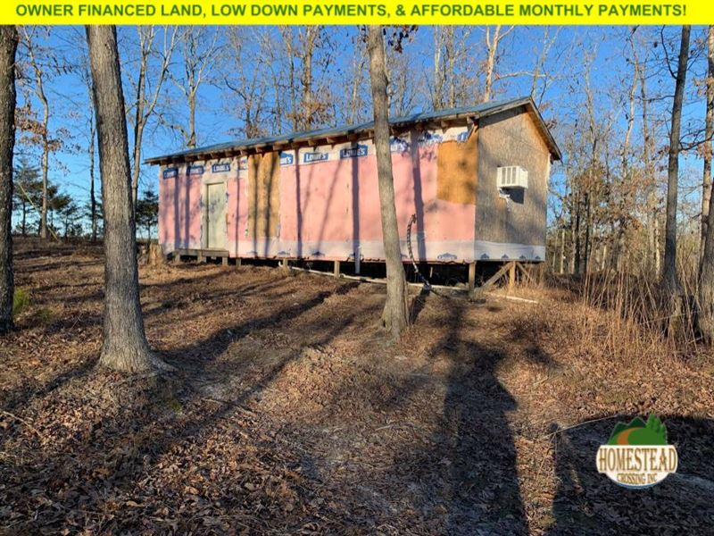 Large Cabin, Acreage and Electic : Licking : Texas County : Missouri