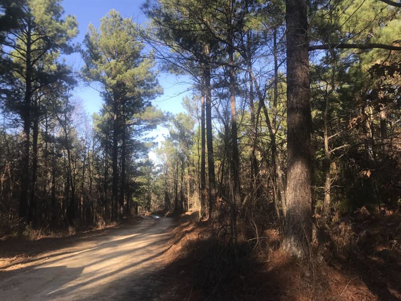 156+/- Acres in Gore Springs, MS : Gore Springs : Grenada County : Mississippi