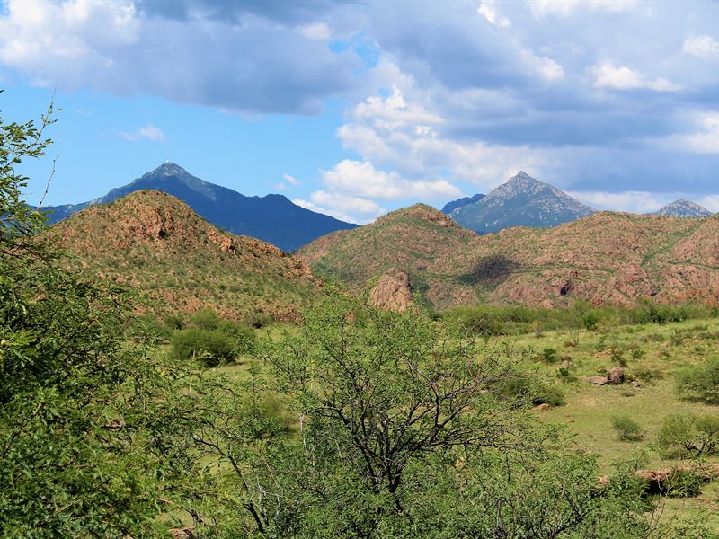 Jasper Springs Ranch : Tubac : Santa Cruz County : Arizona