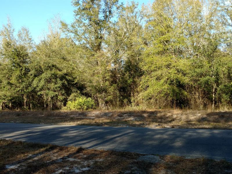 28 Acres in Statenville, GA : Statenville : Echols County : Georgia