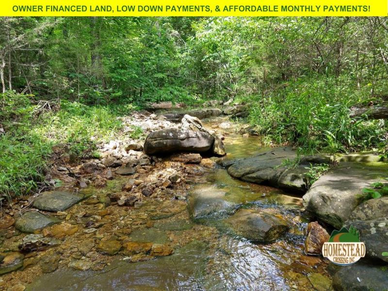 Fantastic Property Year-Round Creek : Drury : Douglas County : Missouri