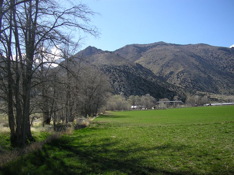 200 Acres Water Righted Ranch : Wellington : Lyon County : Nevada