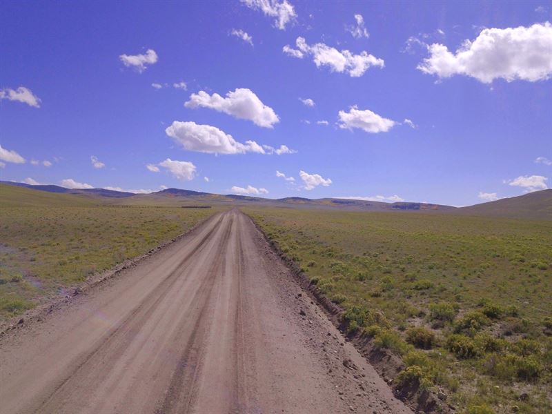 Getting Back to Nature : Hartsel : Park County : Colorado