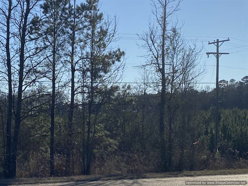 Beautiful Land with Road Frontage : Brookhaven : Lincoln County : Mississippi