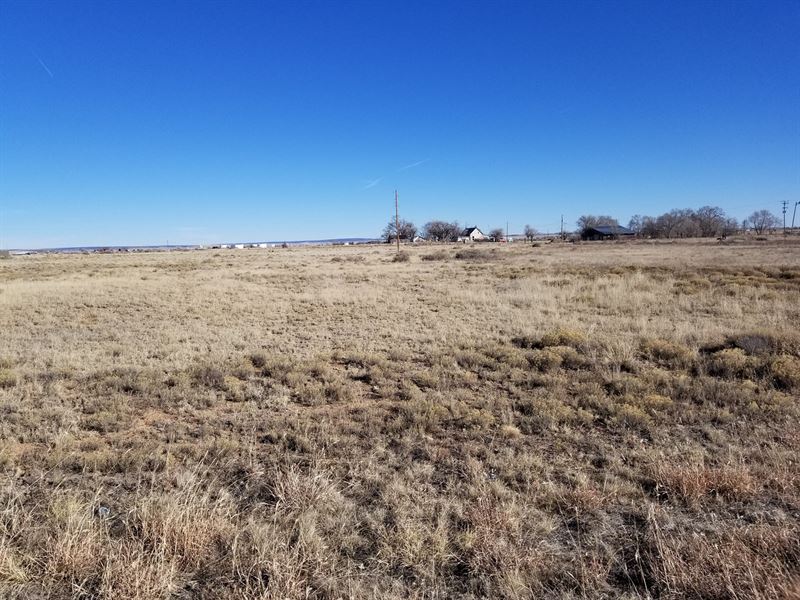 Moriarty NM Small Town America Land for Sale in Moriarty, Torrance