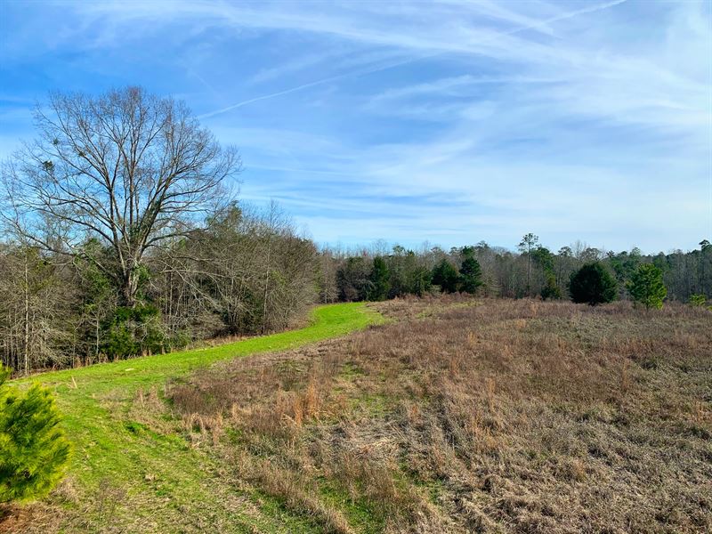 Shellhorn Property : Troy : Pike County : Alabama
