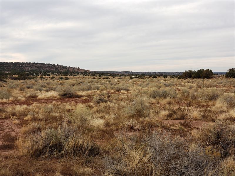 1.1 Acres for Sale,Option for More : Snowflake : Navajo County : Arizona