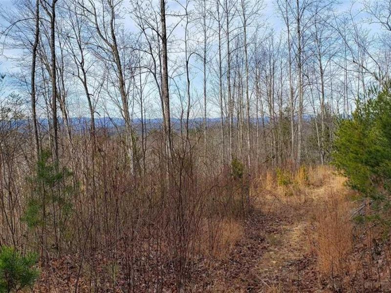 129.28 Acres in Wilkesboro, Wilk : Wilkesboro : Wilkes County : North Carolina