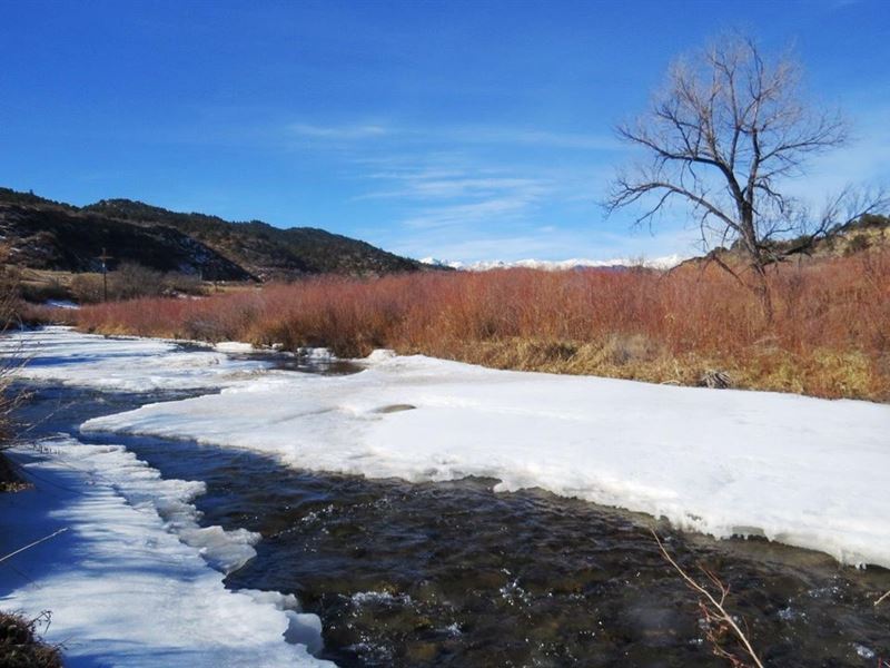 60 Acre River Property Weston Color : Weston : Las Animas County : Colorado