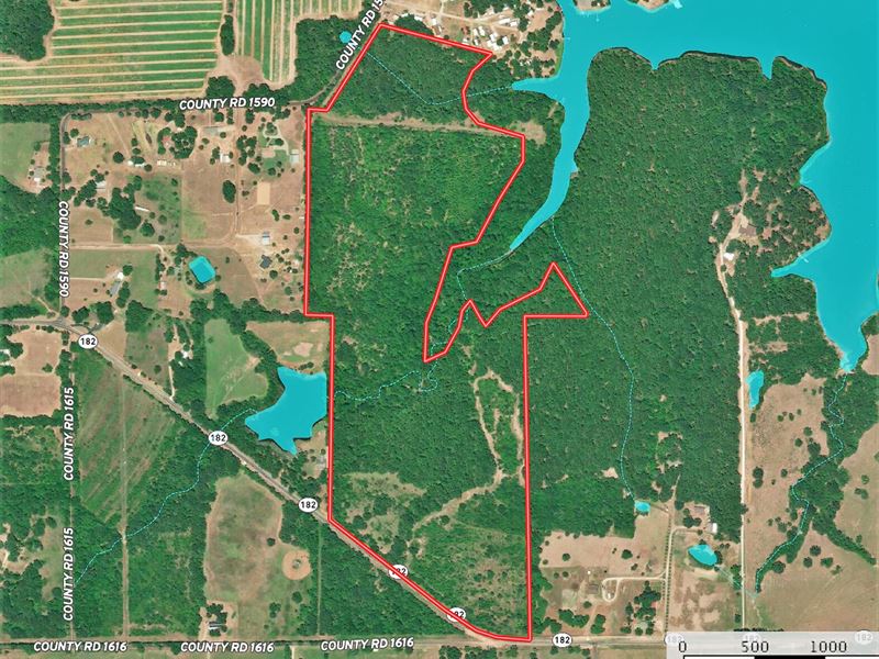 Lake Fork Texas Hunting Fishing : Alba : Wood County : Texas