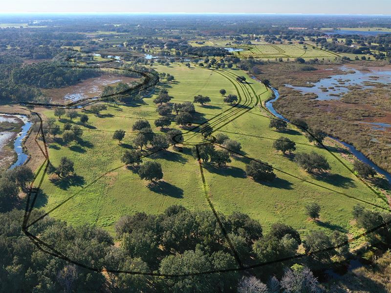 Oak Point Preserve Homesites 29 Lot : Clermont : Lake County : Florida
