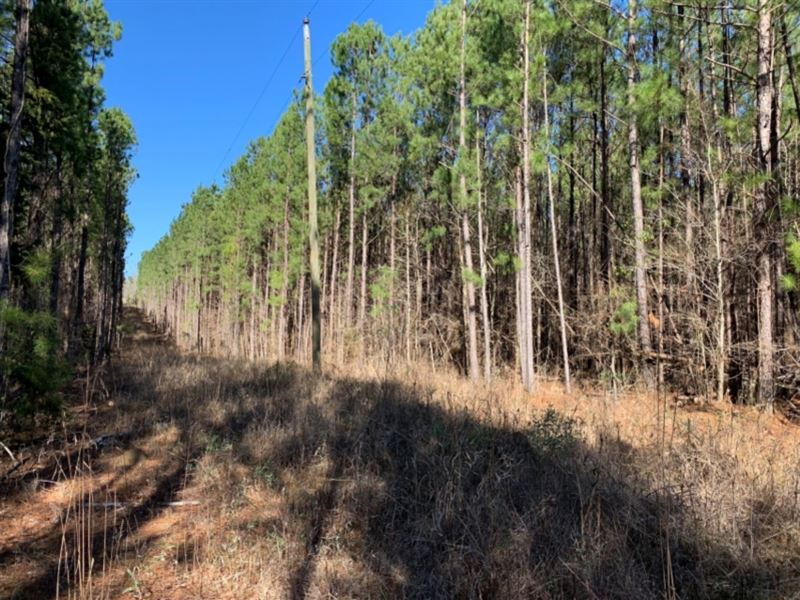 86 Acres in Scott County in Lake : Lake : Scott County : Mississippi