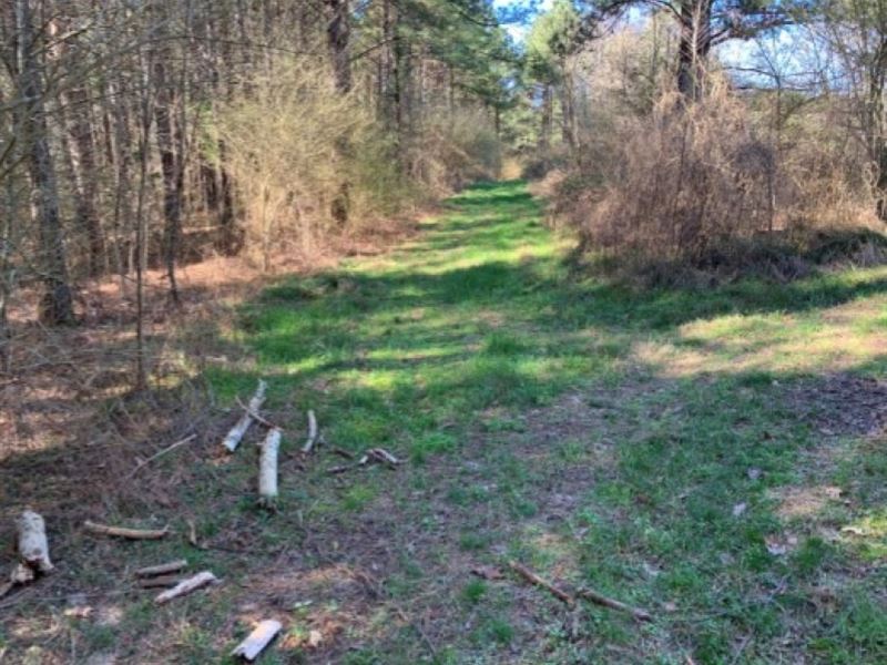 138 Acres in Scott County in Lake : Lake : Scott County : Mississippi