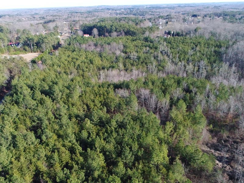 35+/- Acres Limitless Possibilities : Landrum : Spartanburg County : South Carolina