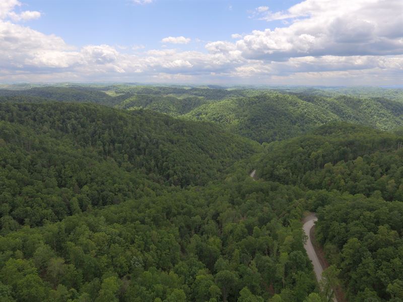 Leatherwood Creek Timberlands : Clay : Clay County : West Virginia