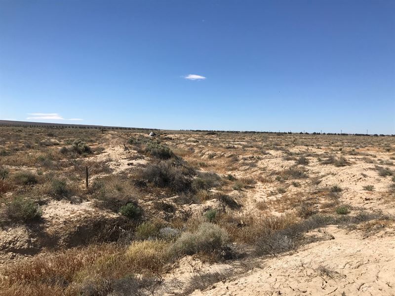 20.22 Acres in Kern County, CA : Cantil : Kern County : California