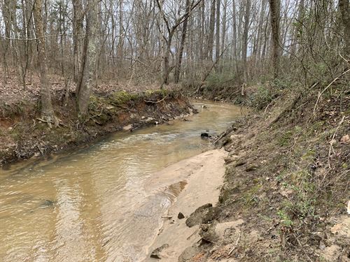 North Tyger River Frontage : Inman : Spartanburg County : South Carolina