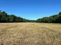 Land For Sale in Spencer County : Rockport : Spencer County : Indiana