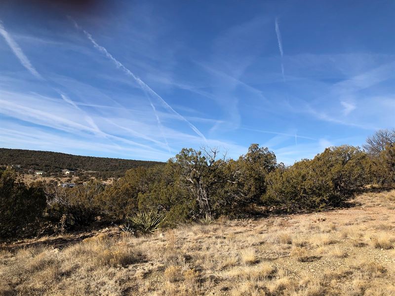 2.5 Acre Wooded Home Site Edgewood : Edgewood : Santa Fe County : New Mexico